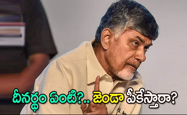 Worried In TDP Circles With Chandrababu Political Future Comments - Sakshi