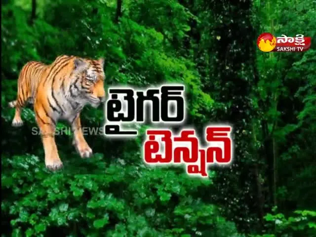 Man Eater Big Cats Threats Joint Adilabad District