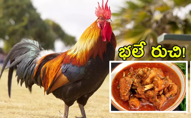 Price Of Natu Kodi Chicken Meat Is Increasing Day By Day - Sakshi