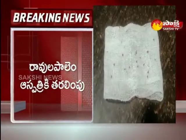 Honey Bees Attacked On Womens In Konaseema Distict