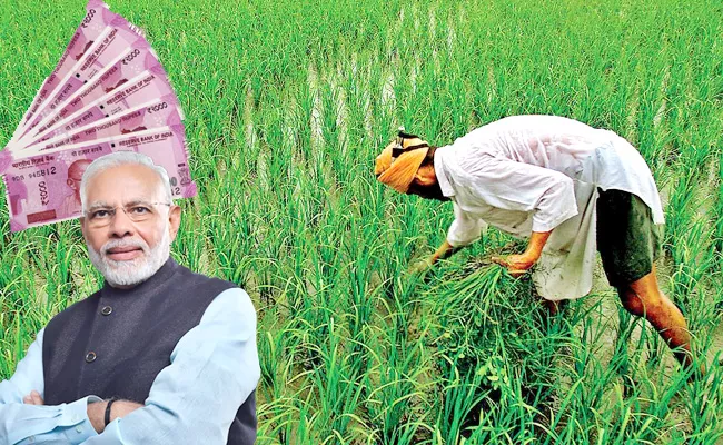 Pm Kisan Scheme:these Farmers Have To Return Amount Due To These Reasons - Sakshi