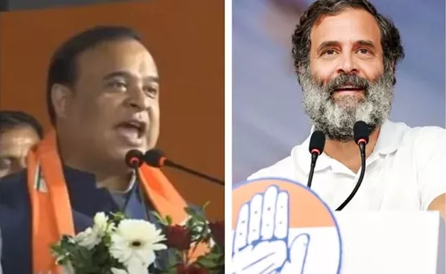 Assam CM Says Rahul Gandhi Looks Like Saddam Hussein - Sakshi