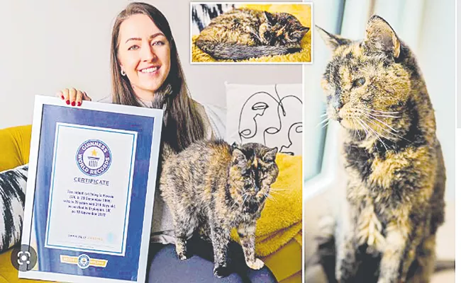 Guinness World Records: World oldest 26 year old cat Flossie becomes Guinness World Records title - Sakshi