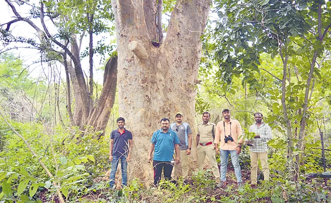 BRR Degree College Researchers Found New Plant Nallamala Forests - Sakshi