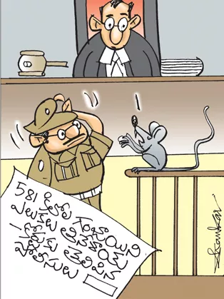 Sakshi Cartoon 26-11-2022 Rats Ate 500kg Of Cannabis