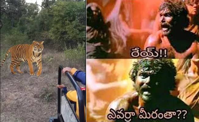 Viral News: This Happens While Tourists Stop Close Look At Tiger - Sakshi