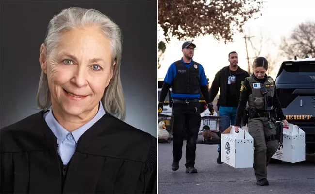 New Mexico Judge Her Pets And Her Husband Found Dead - Sakshi