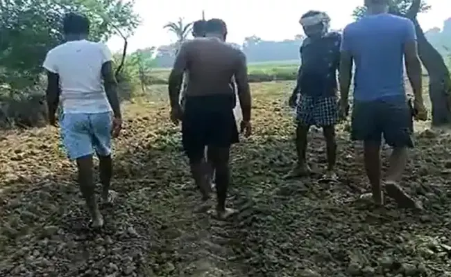 Stealing Whole Road In Bihar Village Sowed Wheat Crops By Goons - Sakshi