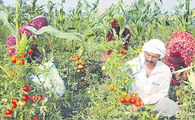 Andhra Pradesh Tops in nature cultivation - Sakshi