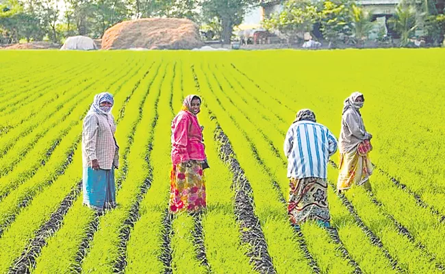 10 Lakh Hectares In India Under Natural Farming - Sakshi