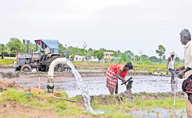 Power distribution companies sanctioning agricultural electricity services - Sakshi