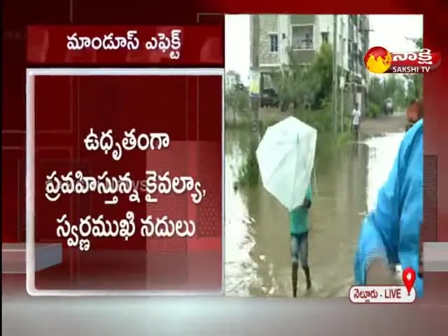 Cyclone Mandous Latest Updates In Ap