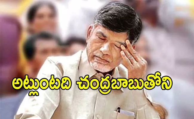 Telidevara Bhanumurthy Satirical Article On Chandrababu Naidu - Sakshi