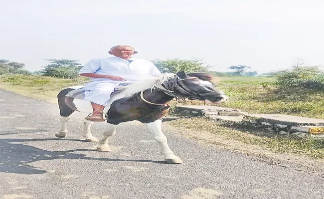 Narsaiah Goud Using Horse As Vehicle For Fifty Year At Bashirabad - Sakshi