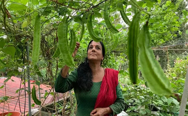 Kerala Rema Devi Farming Vegetables On Roof Garden - Sakshi