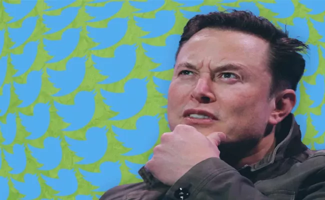 Elon Musk Starts New Poll, Should I Step Down As Twitter Head - Sakshi