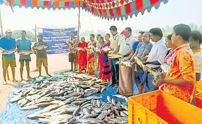 Fish farming cage culture Pandugappa Fish - Sakshi