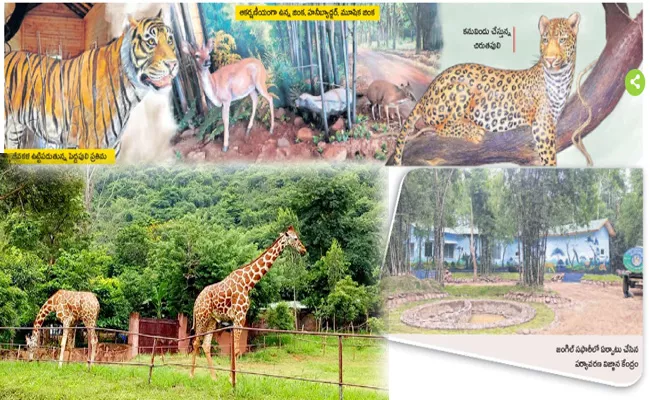 Nallamala Sanctuary Is The Latest Elegance - Sakshi