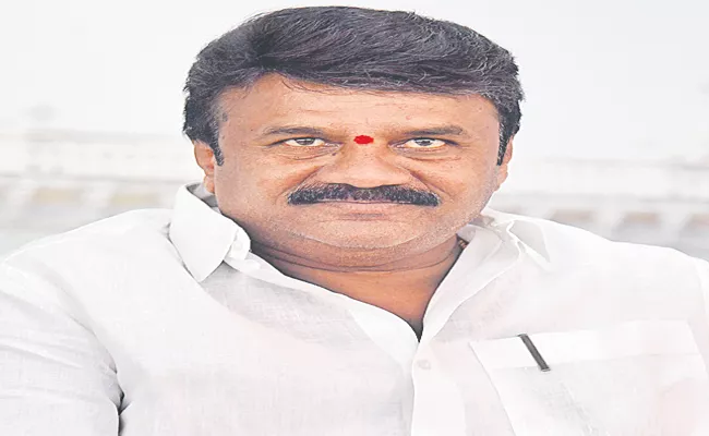 Telangana: Minister Talasani Srinivas Yadav About Dairy Farmers Income - Sakshi