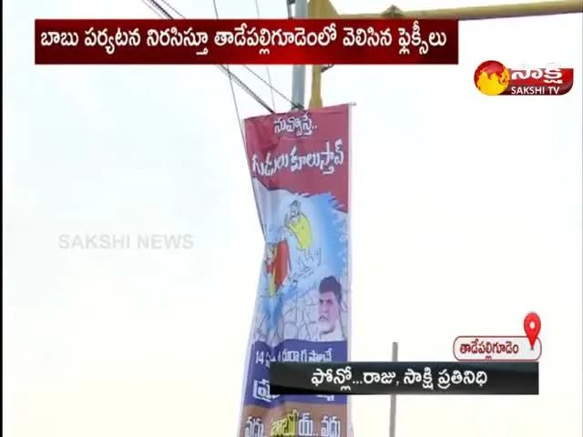 Protest Against Chandrababu In Tadepalligudem