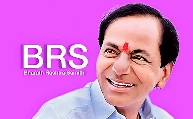 KCR Plans BRS Expansion Other States After Christmas - Sakshi