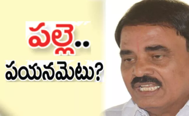 TDP Leader Palle Raghunatha Reddy Political Graph Falling in Puttaparthi - Sakshi