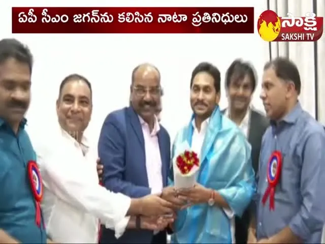 Nata Representatives Met With CM YS Jagan