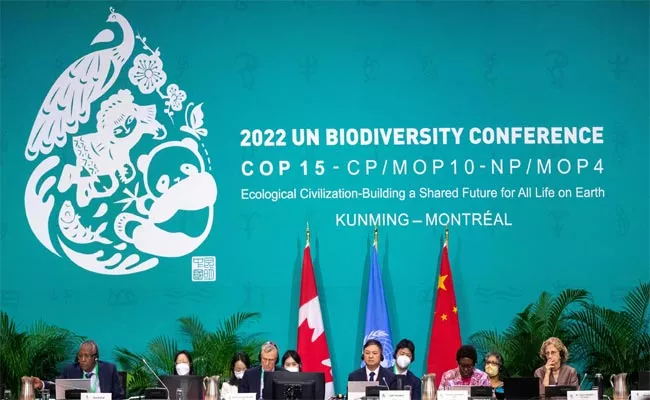 Over 190 Countries Pledge to Protect Biodiversity - Sakshi