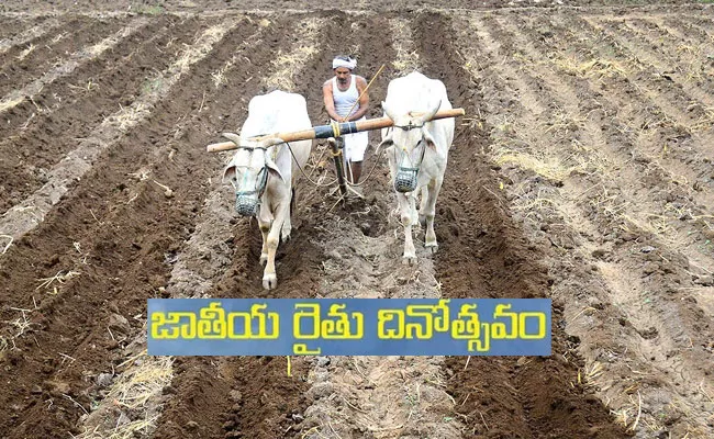 National Farmers Day 2022: YSR Sunna Vaddi Panta Runalu For Tribal Farmers - Sakshi