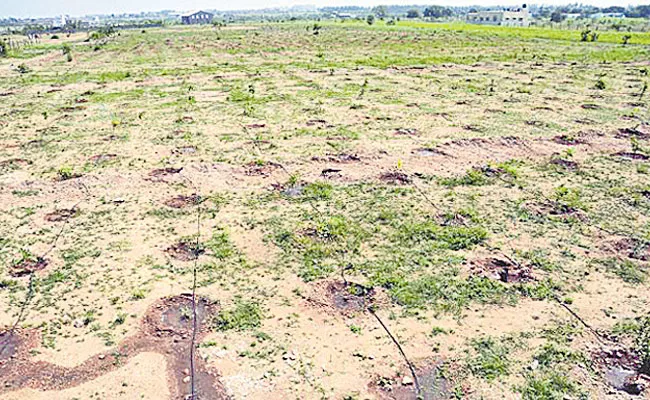 Ranga Reddy District: Acres of Bhoodan Lands Encroached - Sakshi