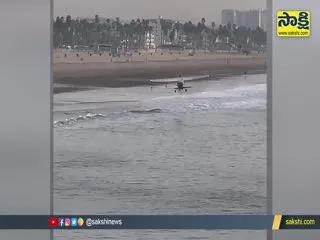 Plane Flips Upside Down After Crashing On Santa Monica Beach Video Goes Viral