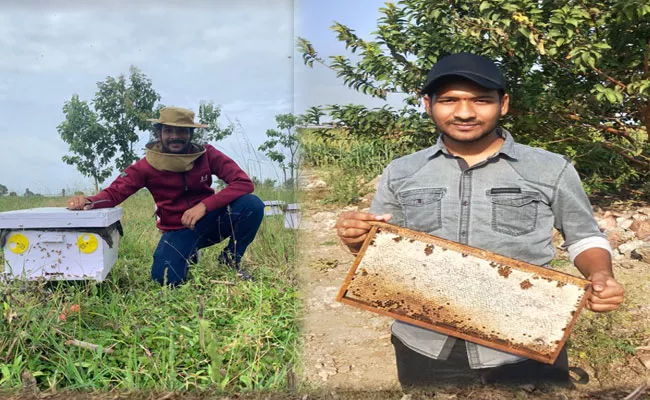 Warangal Young Man Natural Honey Production Business Apiculture - Sakshi