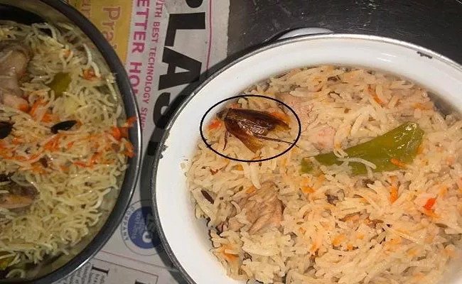 Cockroach Found In Biryani At Warangal Restaurants - Sakshi