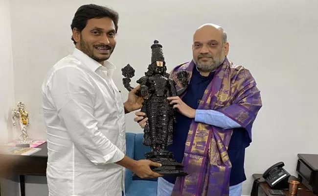 Key Points Discussed By AP CM Jagan With Amit Shah - Sakshi