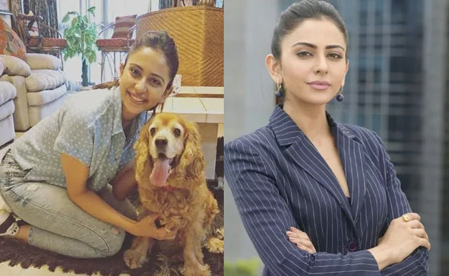 Rakul Preet Singh Mourns Demise of Her Pet Dog Blossom - Sakshi