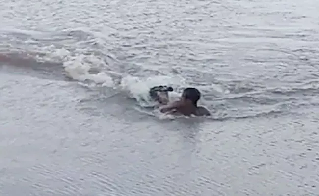 Alligator Attacks Man Swimming In Lake Bites His Arm Video Viral - Sakshi