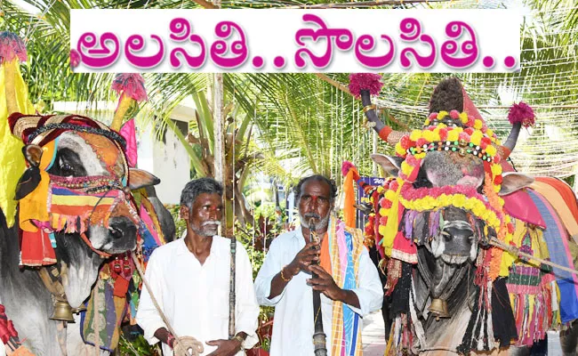 Prakasam District: Gangireddu Community Look Towards Alternative Employment - Sakshi