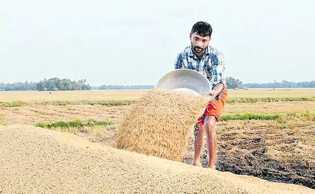 Good News For Grain Farmers From AP Government - Sakshi