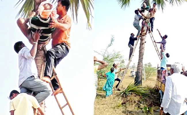 Kallu Geetha Worker Injured While Climbing Palm Tree In choutuppal - Sakshi