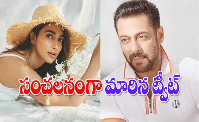 Kamaal Rashid Khan: Salman Khan Fell In Love With Pooja Hegde - Sakshi