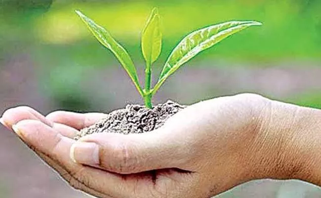 Andhra Pradesh Tops In Organic Farming - Sakshi