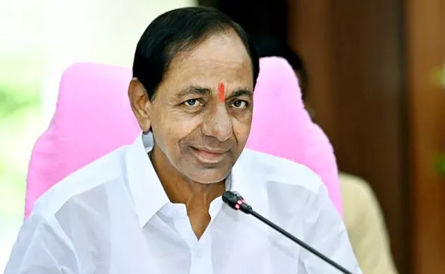 Telangana CM KCR New Year Wishes To People - Sakshi