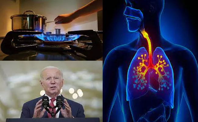 Biden Govt Considers Banning Gas Stoves Harmful Respiratory Illness - Sakshi