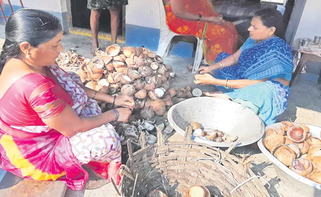 Huge Demand For Rotten coconut In Godavari districts - Sakshi