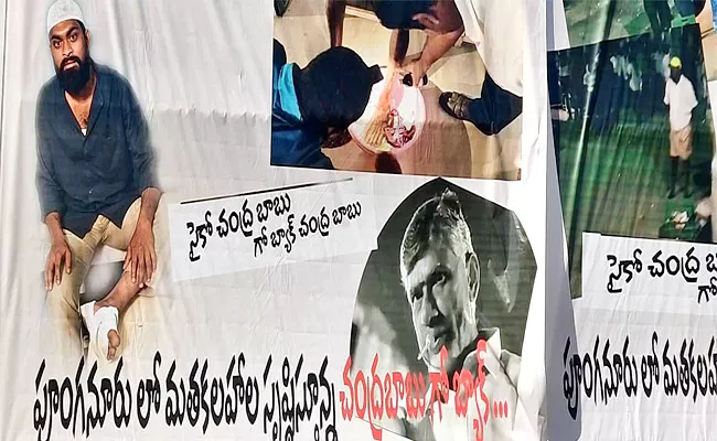 Go Back Chandrababu Flexis At Pileru Protest Against TDP Chief - Sakshi