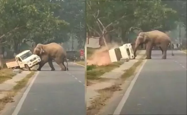 Enraged Elephant Flips Over Car In Assam Guwahati Video Viral - Sakshi