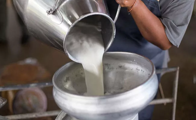 Beware: Deadly Chemical Used To Preserve Corpses Is Adding Milk Dairy Products - Sakshi