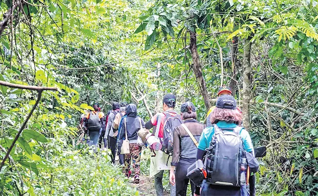 Veerla Konda In Prakasam District: Trekking in Nallamala - Sakshi