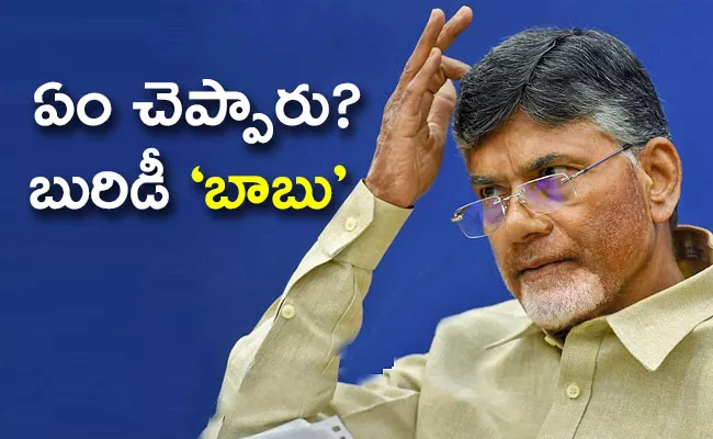 Chandrababu Naidu Nellore Meeting Senseless Comments Alcohol Brands - Sakshi