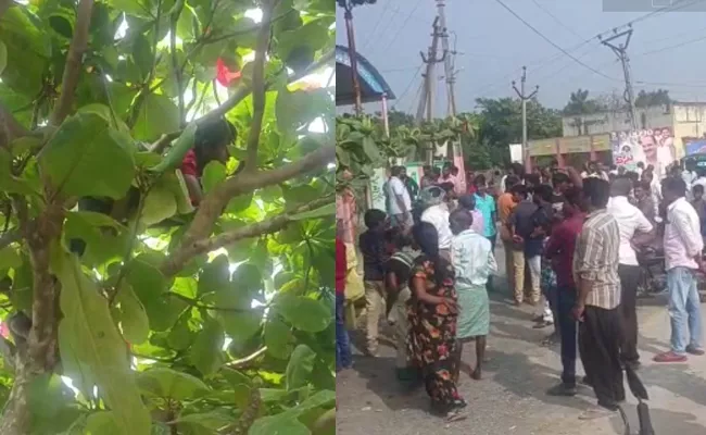 Bapatla Kid Dies After Electrocuted On Tree While Playing - Sakshi